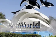 Orlando SeaWorld Shuttle Service thumbnail 1