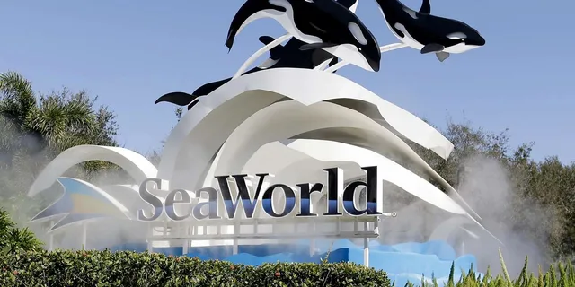 Orlando SeaWorld Shuttle Service - Image 1