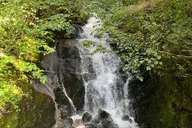 Ketchikan Private Tour with Totems and Wildlife thumbnail 6