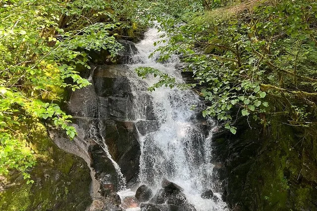 Ketchikan Private Tour with Totems and Wildlife - Image 6