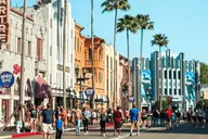 Orlando 5-Day Tour with Hotel and Activities thumbnail 5
