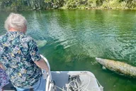 Crystal River Snorkeling Tour with Manatees thumbnail 3