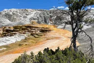 Yellowstone Bus Tour thumbnail 5