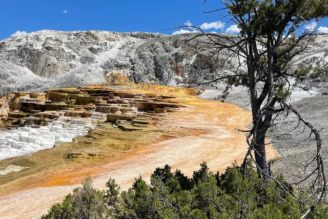 Yellowstone Bus Tour - Image 5