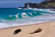 Oahu Circle Island Tour Customizable 8 Hr thumbnail 4