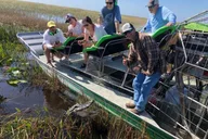 Miami Everglades Airboat Ride 60 Min thumbnail 4