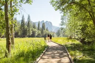 Yosemite Private Tour and Hike thumbnail 1