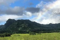 Kauai East Side and North Shore Guided Tour thumbnail 4