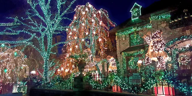 Brooklyn Dyker Heights Holiday Lights Tour 3 hr - Image 4