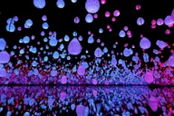 Las Vegas ARTE Museum Immersive Art Experience thumbnail 4