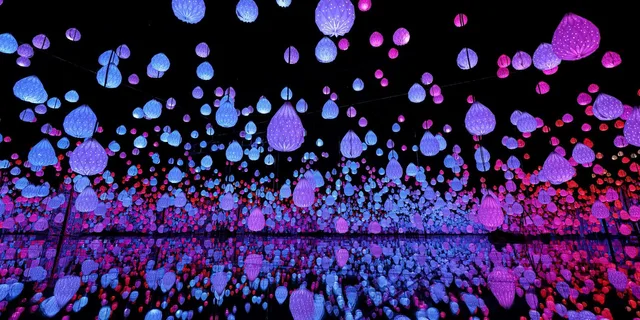 Las Vegas ARTE Museum Immersive Art Experience - Image 4