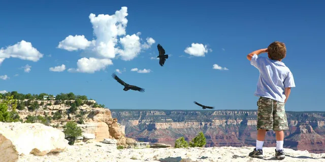 Grand Canyon Wildlife Safari with Skip-the-Line - Image 1