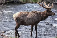 Denver Rocky Mountain Private Tour thumbnail 3