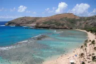 Honolulu Snorkel Tour at Hanauma Bay 1 hr thumbnail 3