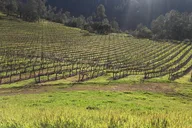 Napa and Sonoma Wine Tour thumbnail 1
