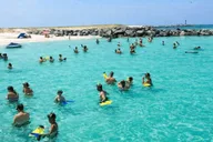 Panama City Beach Snorkeling and Dolphin Watching Tour thumbnail 1