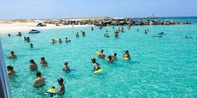 Panama City Beach Snorkeling and Dolphin Watching Tour - Image 1