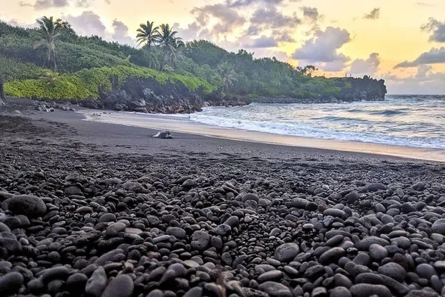 Maui Hana Private SUV Tour - Image 6