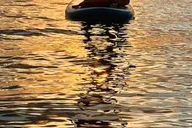 Miami Paddle Board Tour to Monument & Star Island 2 hr thumbnail 2