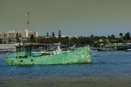 Egmont Key Snorkeling and Dolphin Tour thumbnail 4