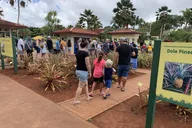 Oahu Tour Dole Plantation and Northshore thumbnail 5