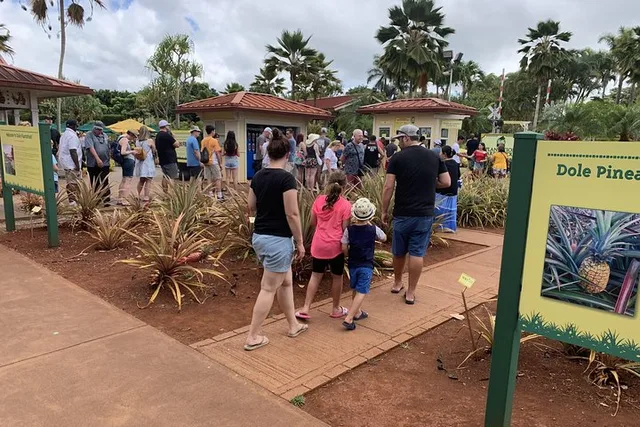 Oahu Tour Dole Plantation and Northshore - Image 5