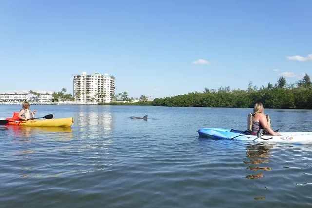 Fort Myers Beach Kayak or SUP Rental at Pelican Bay 3 hr - Image 3