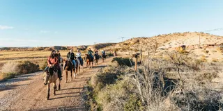 Las Vegas Desert Sunset Horseback Ride with BBQ Dinner