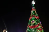 Washington, DC Holiday Lights Night Bus Tour thumbnail 6