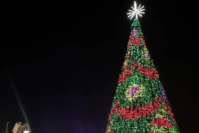Washington, DC Holiday Lights Night Bus Tour - Image 6