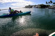 Sarasota Pedal Kayak Tour thumbnail 6