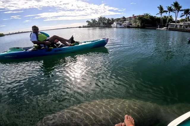 Sarasota Pedal Kayak Tour - Image 6
