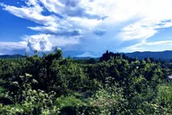 Hood River Valley Tour: Timberline, Orchards & Waterfalls thumbnail 5