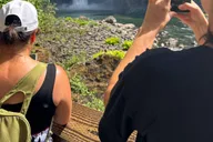 Seattle Snoqualmie Falls Private Tour 2.5 hr thumbnail 1