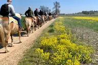 Gettysburg Battlefield Horseback Tour thumbnail 5
