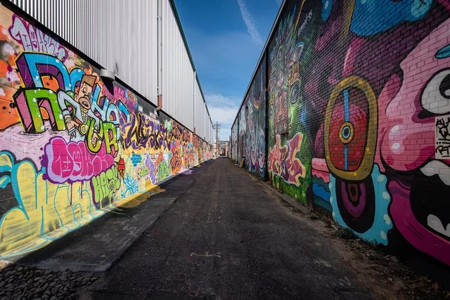 Denver Graffiti Tour with Happy Hour - Image 5