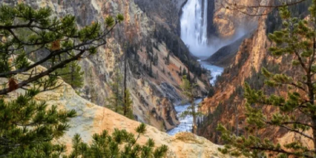 Jackson Wildlife Adventure in Yellowstone and Grand Teton 4-Day - Image 3