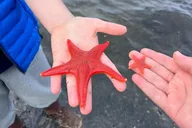 Ketchikan Low Tide Excursion and Totem Bight Park thumbnail 1