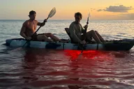 Maui Kayak Tour at Sunset thumbnail 5