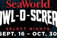 San Antonio SeaWorld Skip-the-Line Admission thumbnail 2