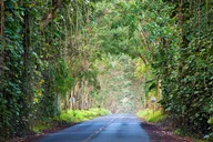 Kauai Waimea Canyon and South Shore Excursion thumbnail 1