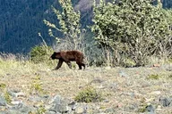 Skagway Waterfall Tour thumbnail 6