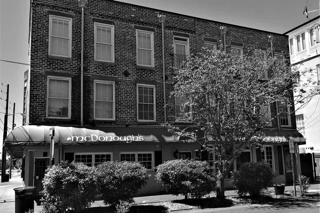 Savannah Voices of the Dead Tour 90 Min - Image 4