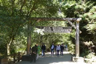 San Francisco Muir Woods and Sausalito Tour 4 hr thumbnail 2