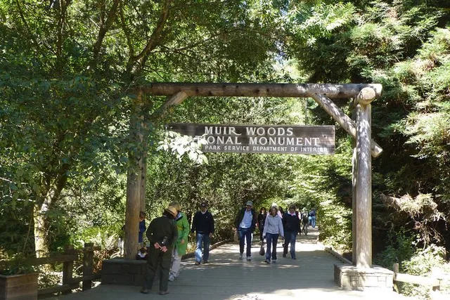 San Francisco Muir Woods and Sausalito Tour 4 hr - Image 2