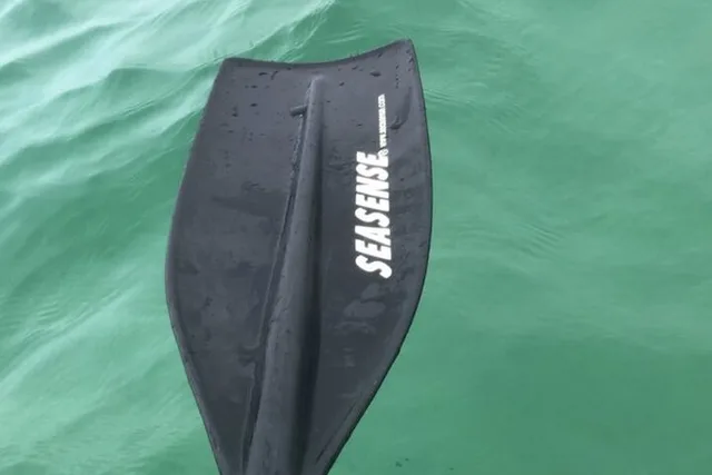 Destin Harbor Kayak Rental - Image 6
