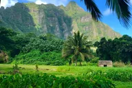 Oahu Private Island Tour thumbnail 2