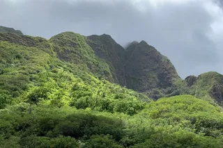 Maui Private Tour