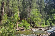 Los Angeles Yosemite and Sequoia National Parks 2-Day Trip thumbnail 3