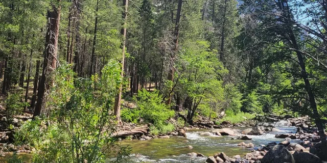 Los Angeles Yosemite and Sequoia National Parks 2-Day Trip - Image 3